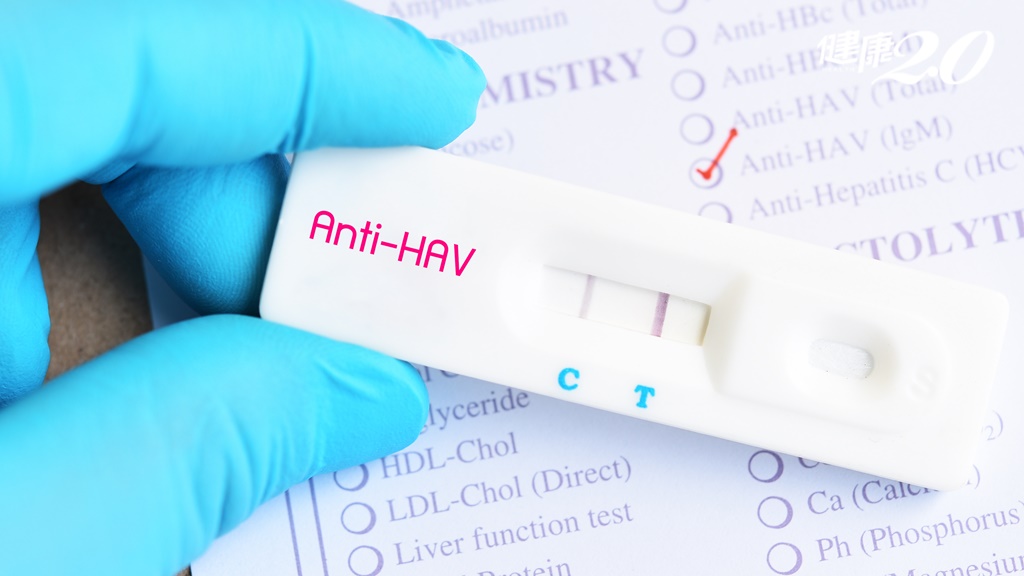 吃到A肝莓果為什麼會「igM弱陽<span style="color:#1BA42B;">性</span>」？醫師教看檢驗報告，「這個」陽<span style="color:#1BA42B;">性</span>是好事