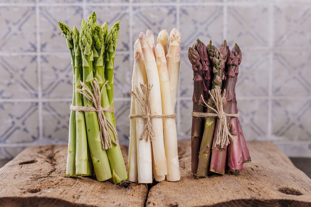 Search result thumbnail