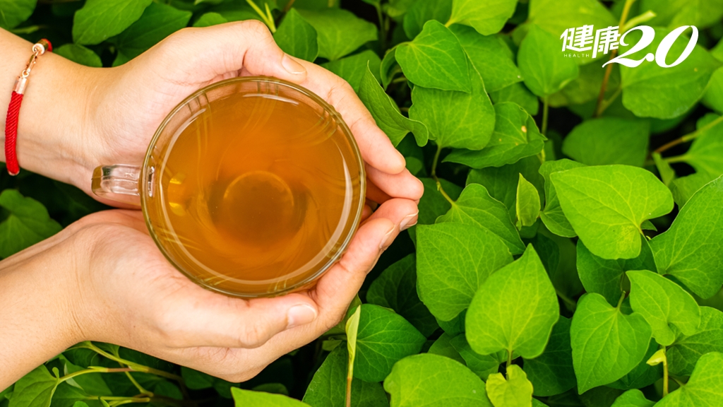 Search result thumbnail