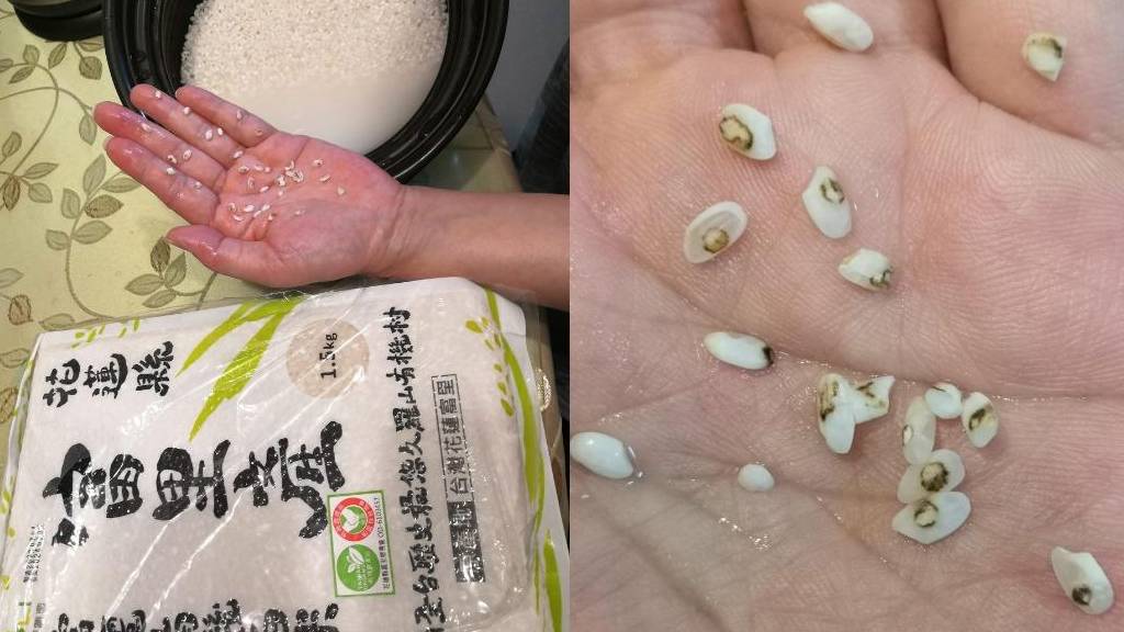 蛀牙米 (1)