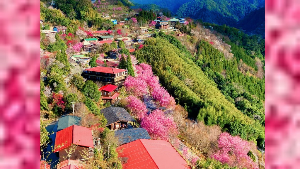 Search result thumbnail