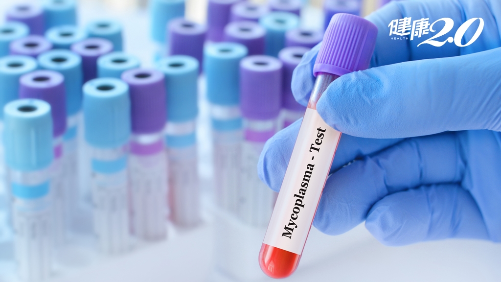 黴漿菌肺炎「這時間」恐掀<span style="color:#1BA42B;">大流行</span>！中西醫師推薦1茶飲 防呼吸道感染不用抗生素