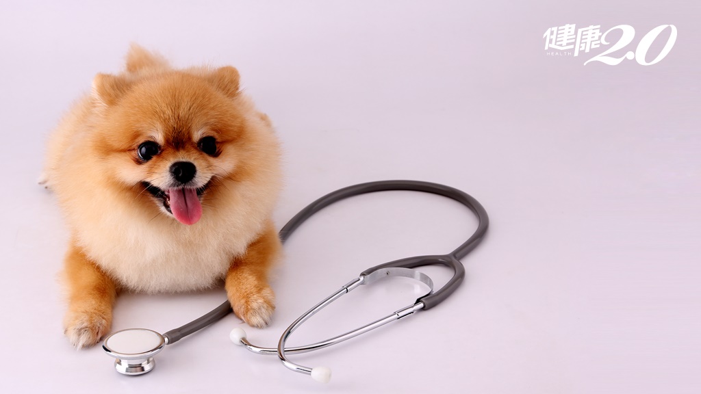 Search result thumbnail