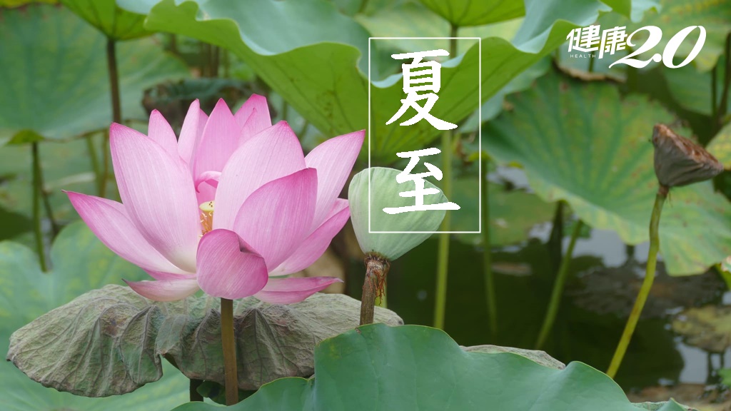 Search result thumbnail