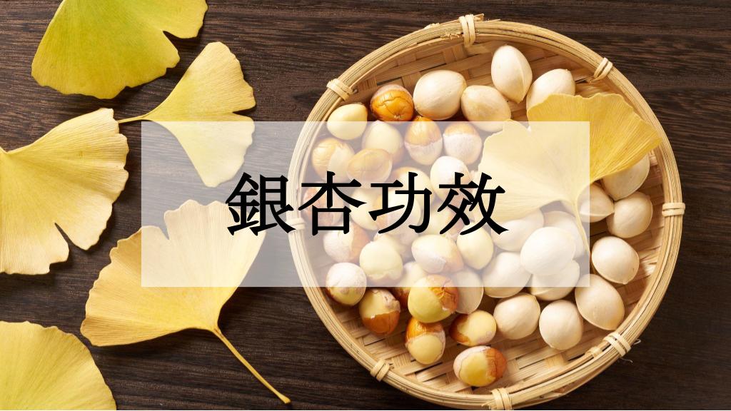 銀杏功效能增強記憶？銀杏禁忌和副作用一次看