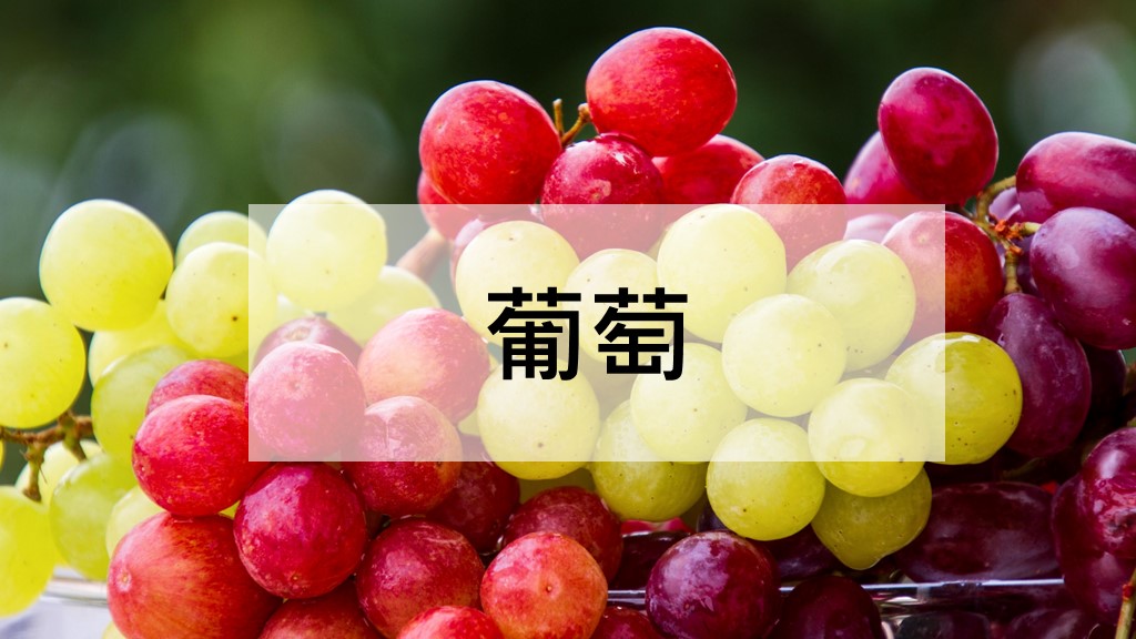 葡萄好處有什麼？葡萄品種有哪些？葡萄保存方法一次看