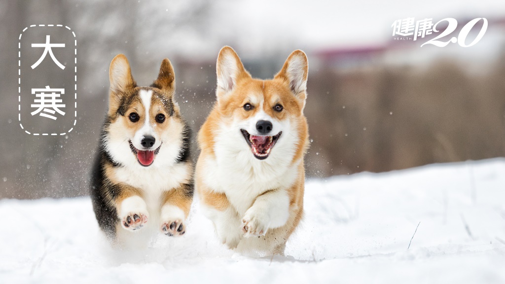 Search result thumbnail