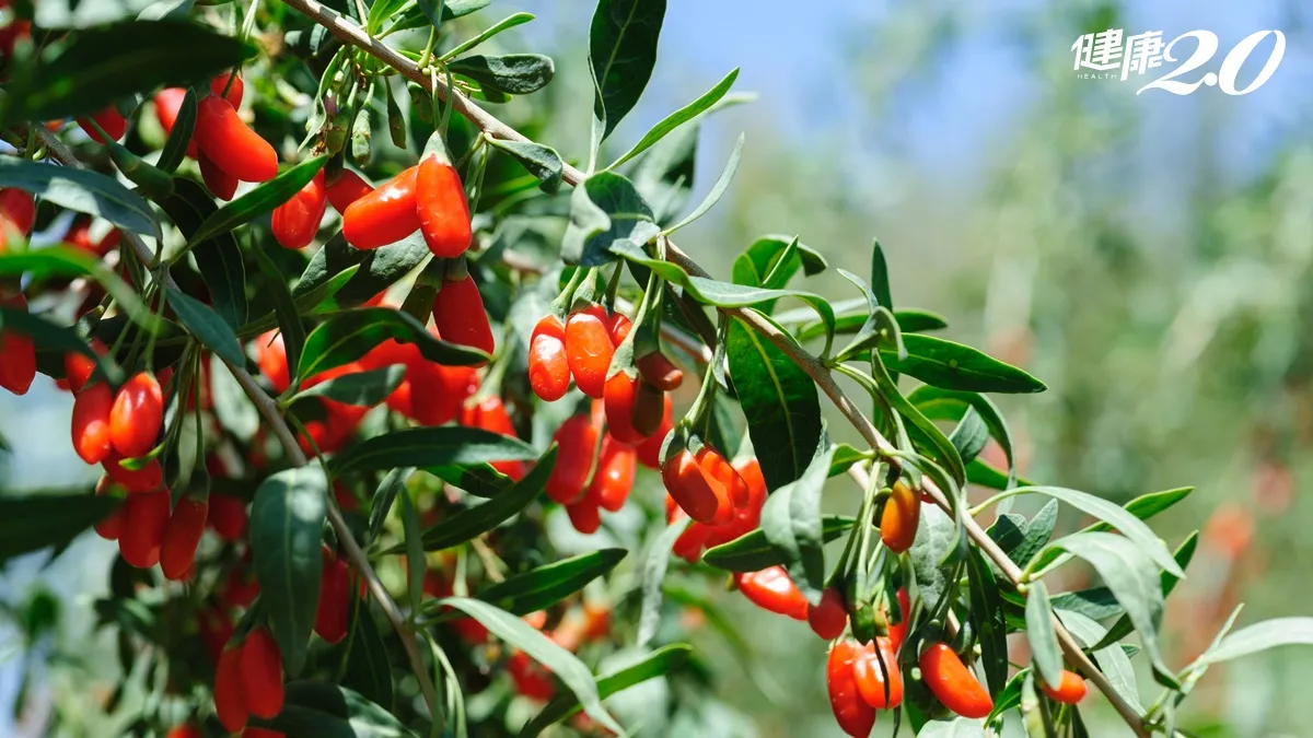 Search result thumbnail