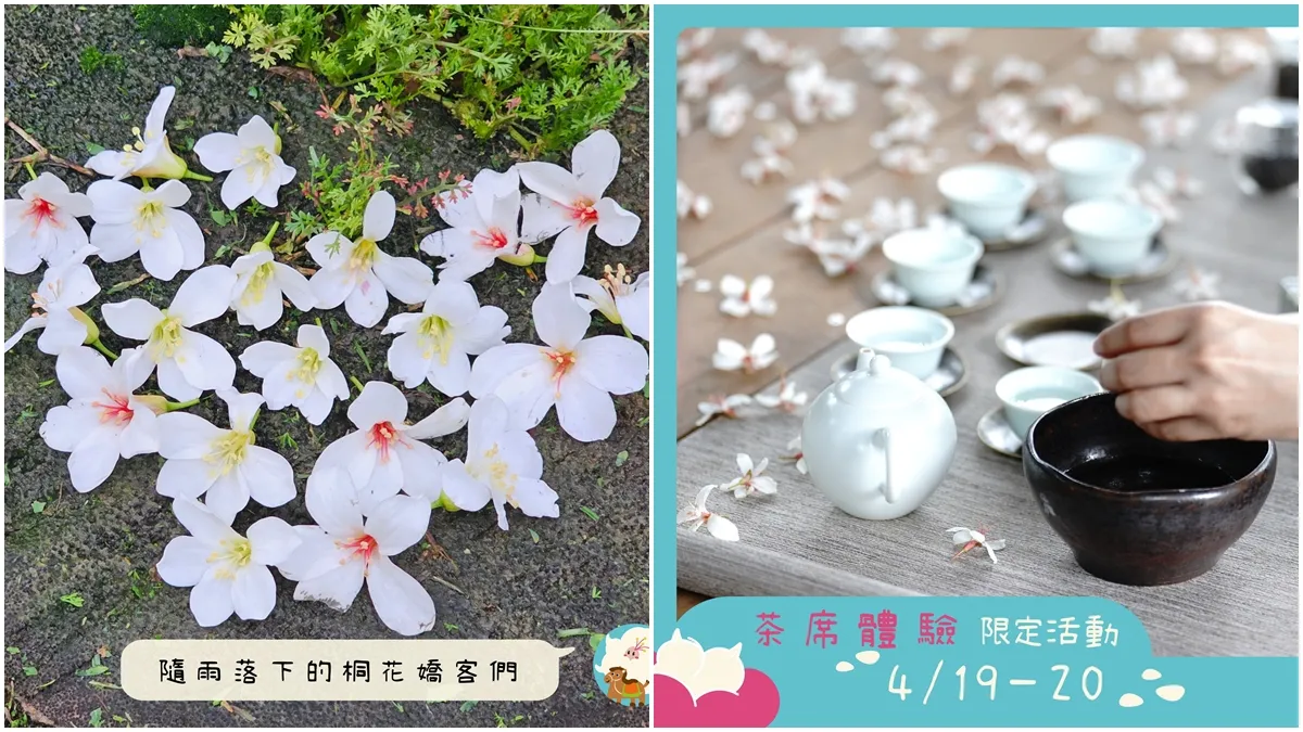 Search result thumbnail