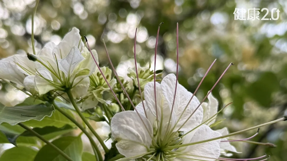 Search result thumbnail