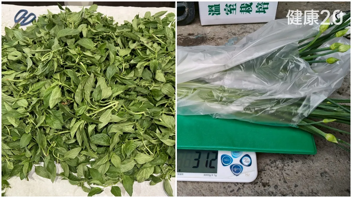 Search result thumbnail