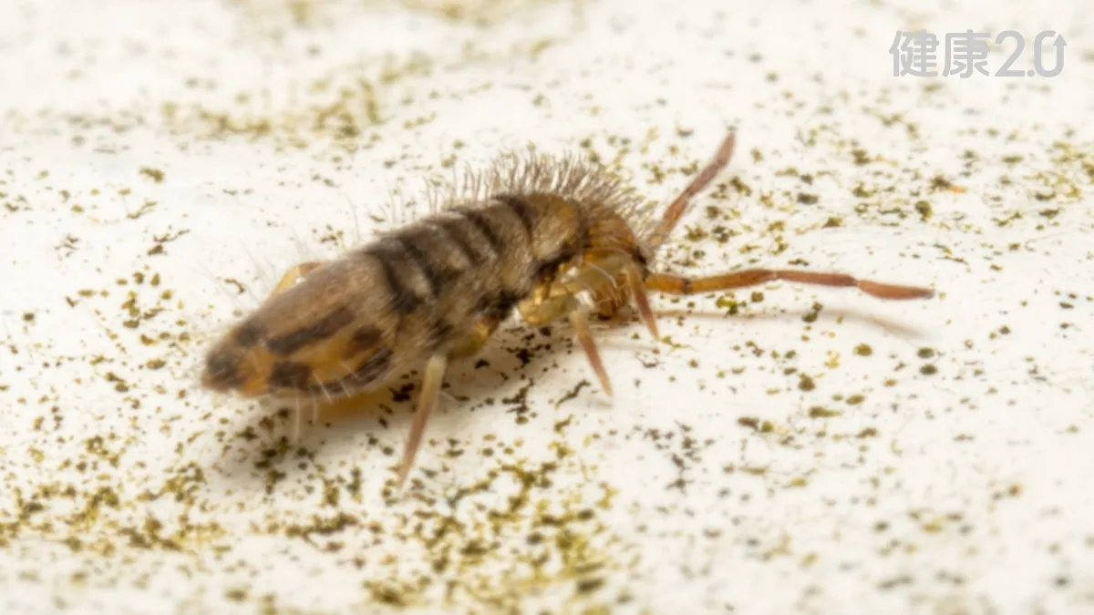 Search result thumbnail