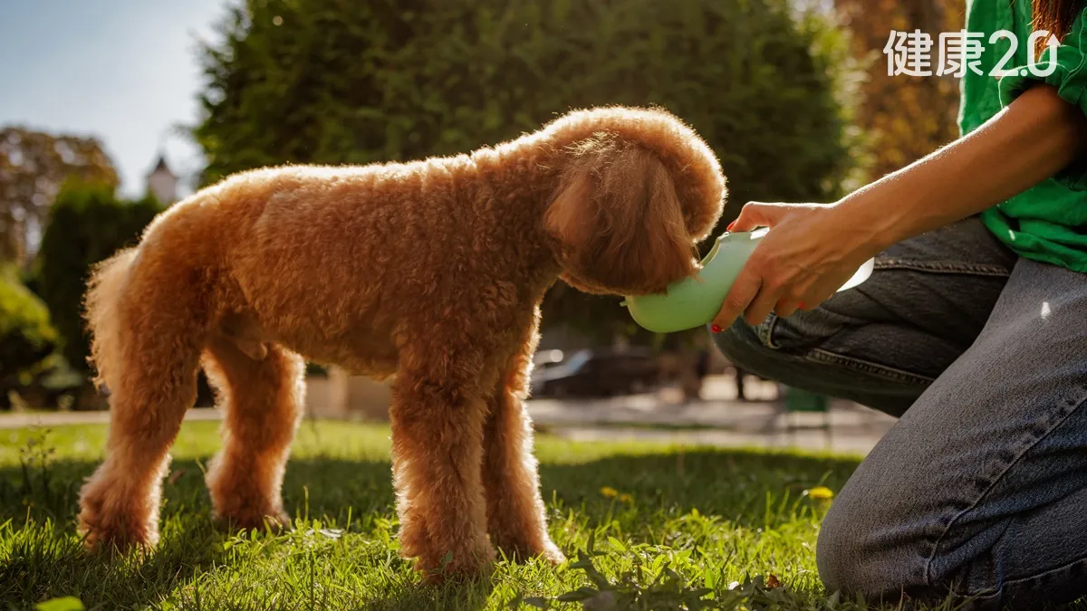 Search result thumbnail