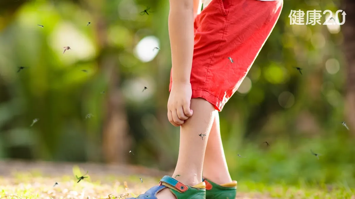 Search result thumbnail