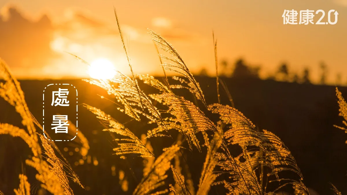 Search result thumbnail