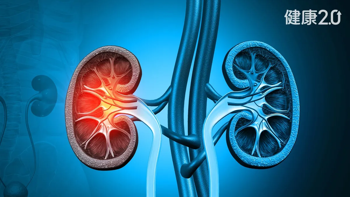 預防腎病「救地球」？專家：早期腎病防治有望減少透析 還能減少碳排放