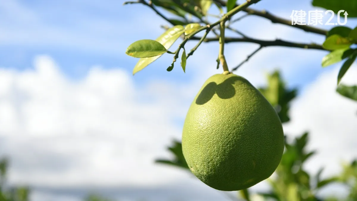 Search result thumbnail