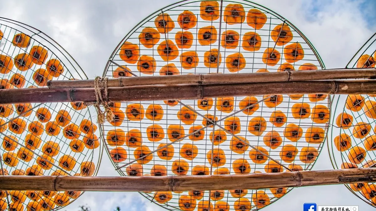 Search result thumbnail