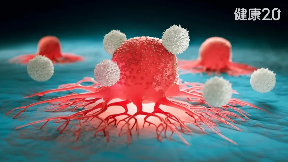 Search result thumbnail