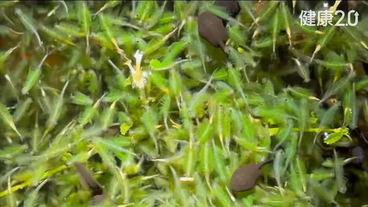 Search result thumbnail