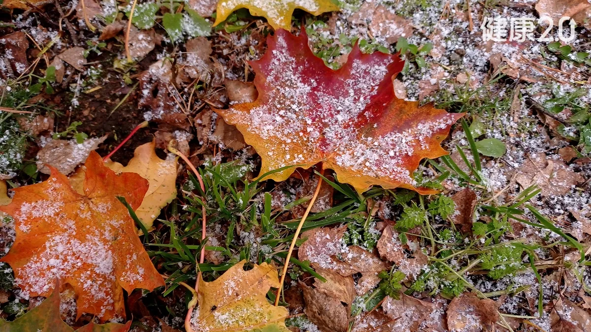 Search result thumbnail