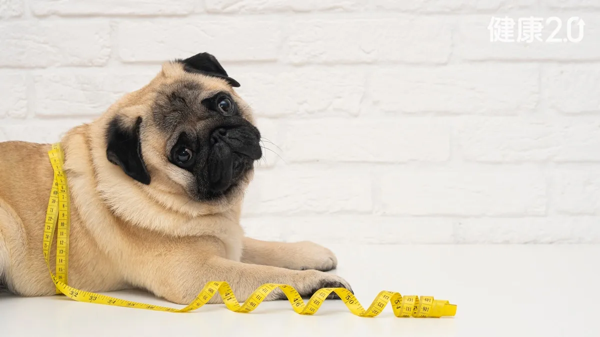 Search result thumbnail