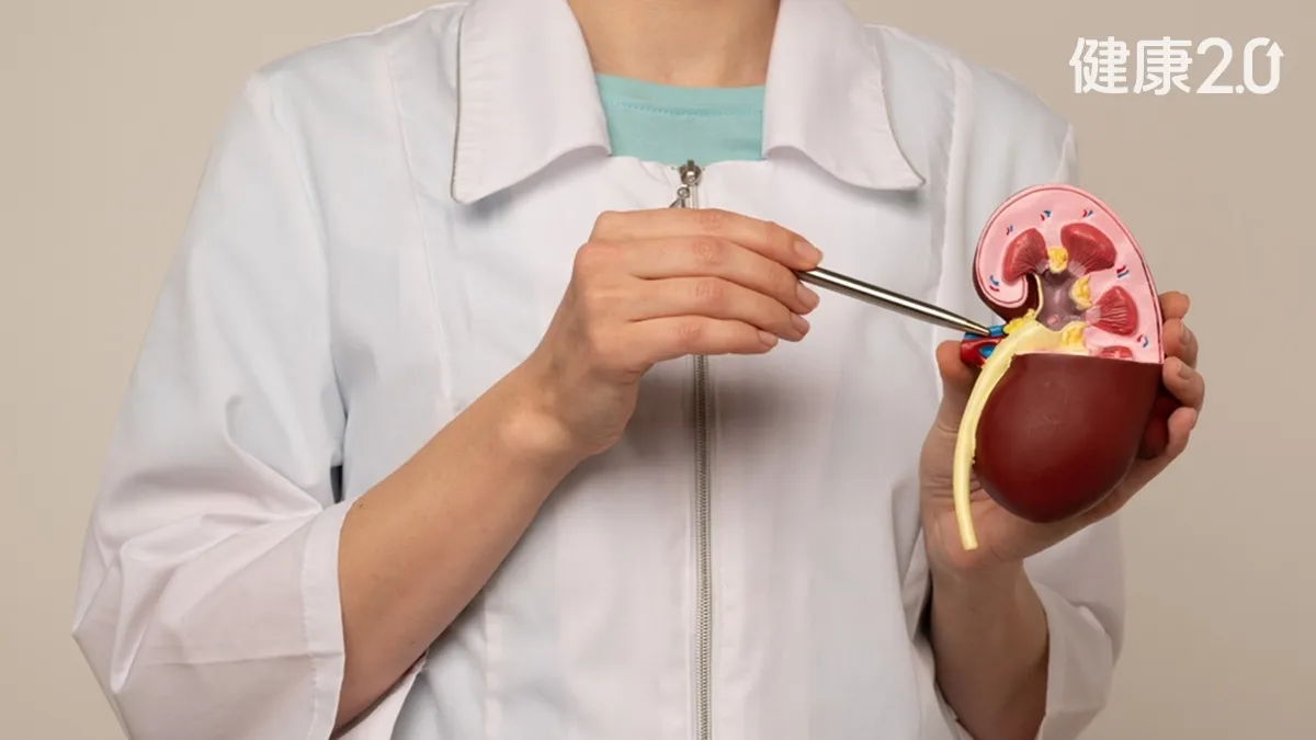 55歲女「腎功能崩壞」！狂吞保健品釀大禍 醫曝5大<span style="color:#1BA42B;">地雷</span>