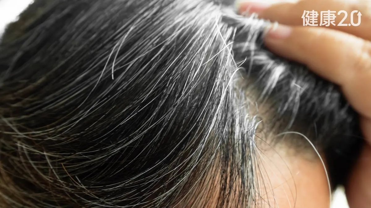 Search result thumbnail