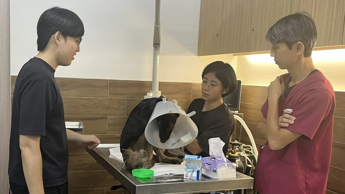 Search result thumbnail