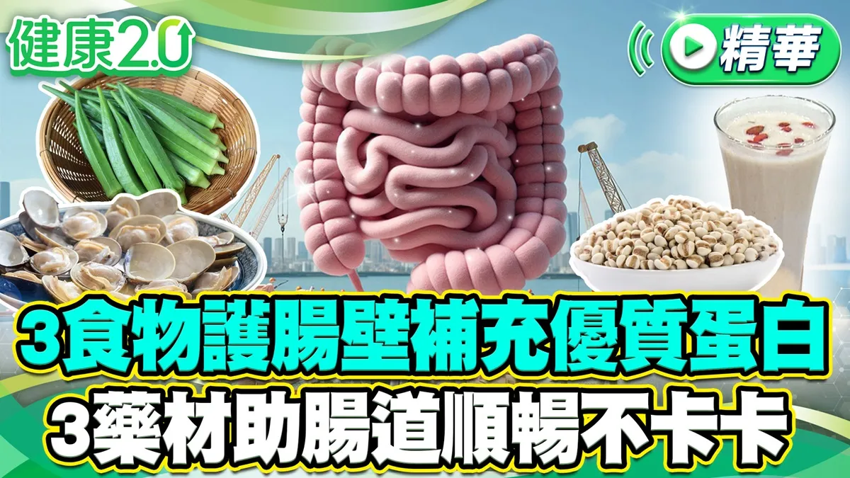 小心「壞纖維」結糞石讓你盲腸炎！郁方夫盲腸炎險瀕危，醫揭盲腸炎3大前兆