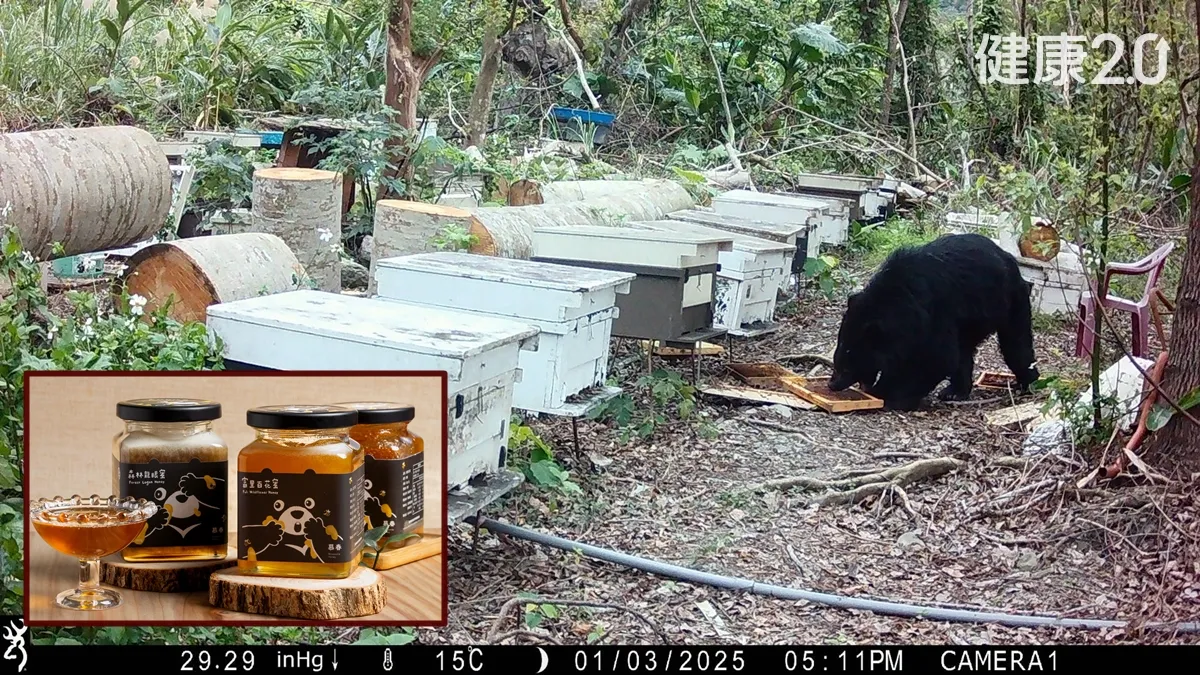 Search result thumbnail