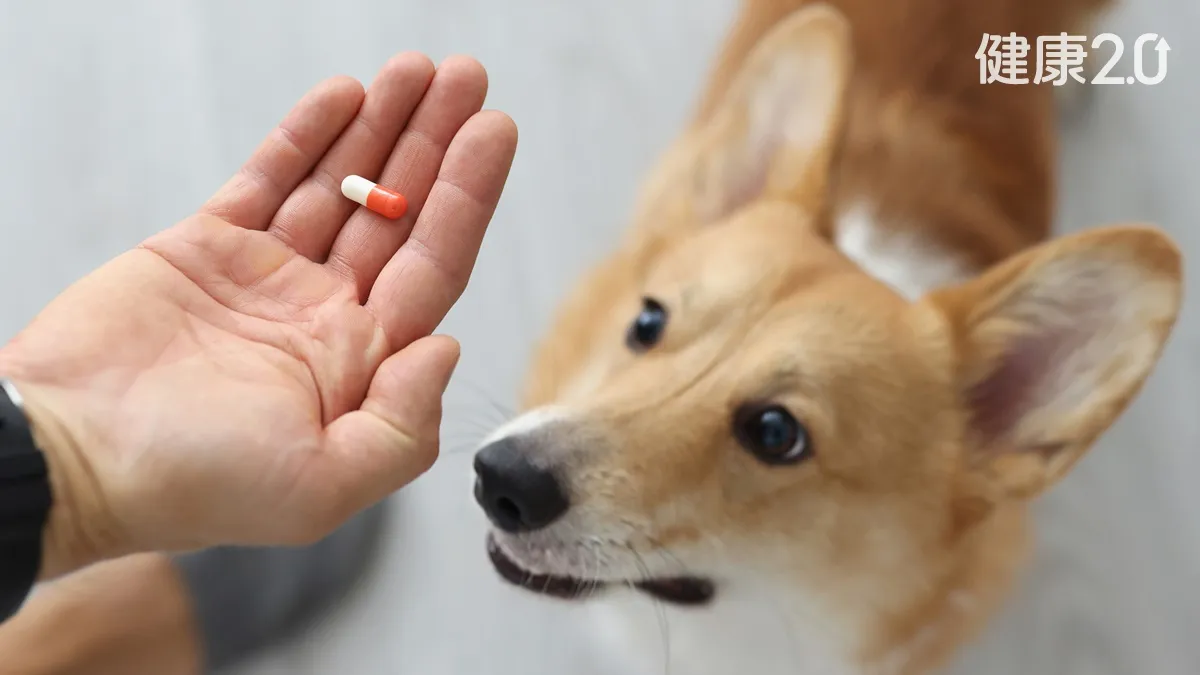 Search result thumbnail