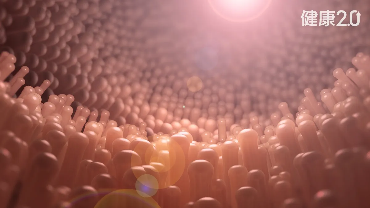 Search result thumbnail