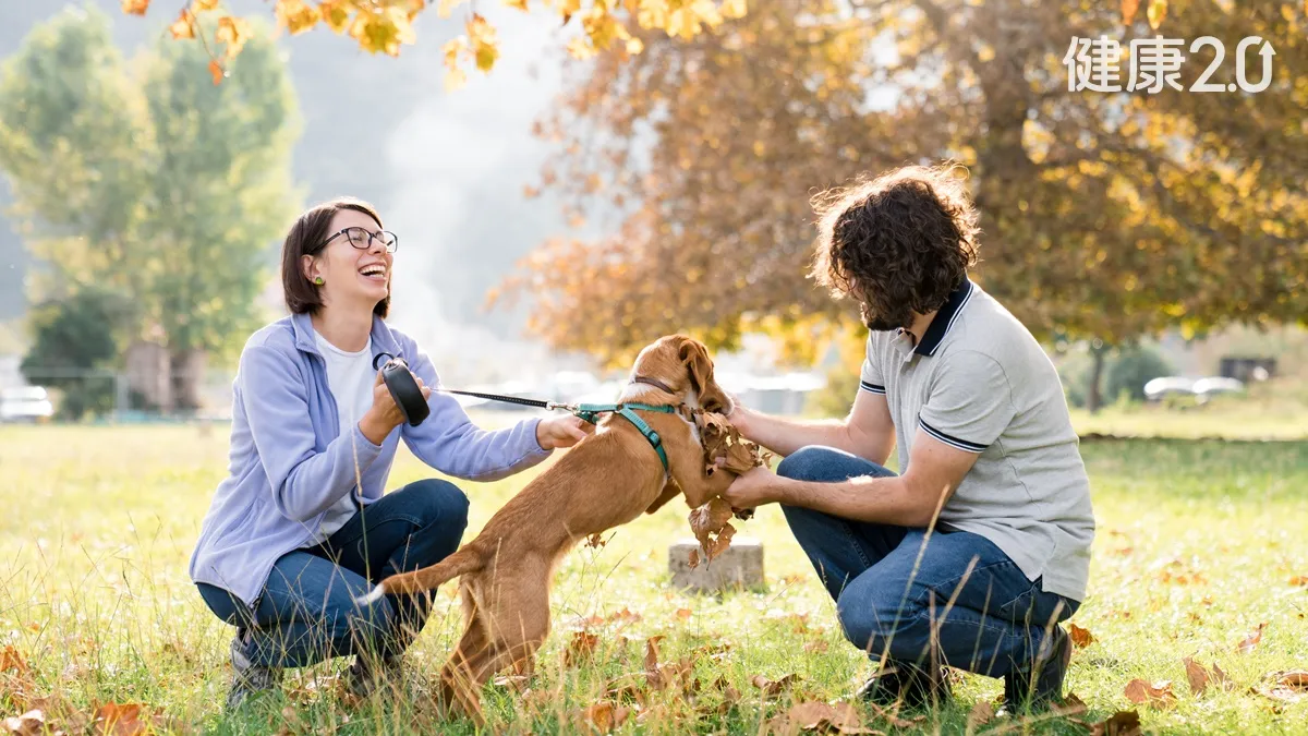 Search result thumbnail