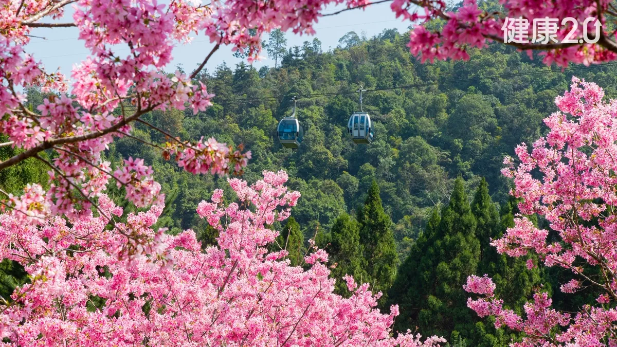 Search result thumbnail