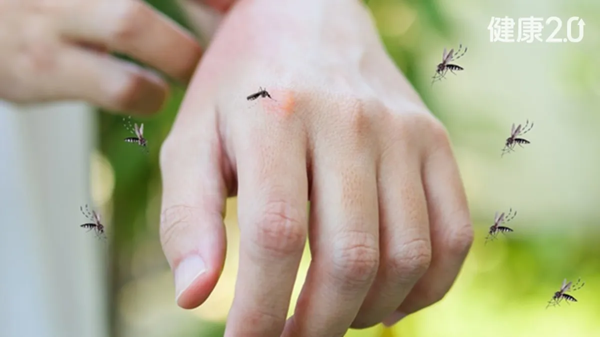 Search result thumbnail