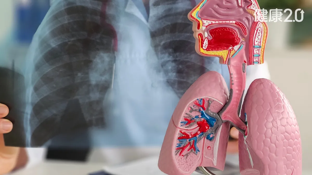 每晚夜尿5次竟是肺問題？他肺功能重度受損 1治療肺活量從29%逆襲到40%