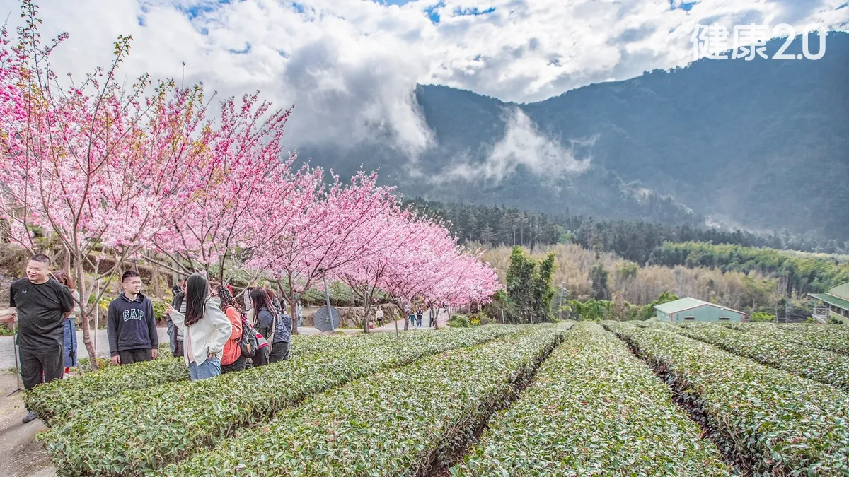 Search result thumbnail