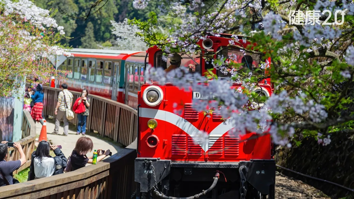 Search result thumbnail