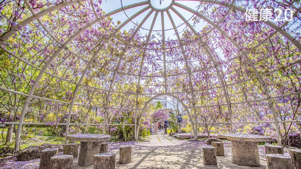 Search result thumbnail