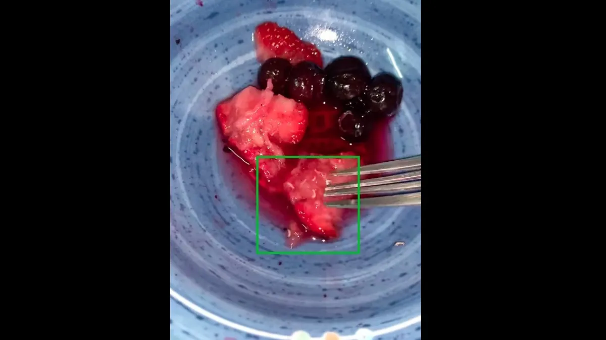 Search result thumbnail