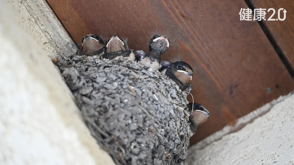 Search result thumbnail