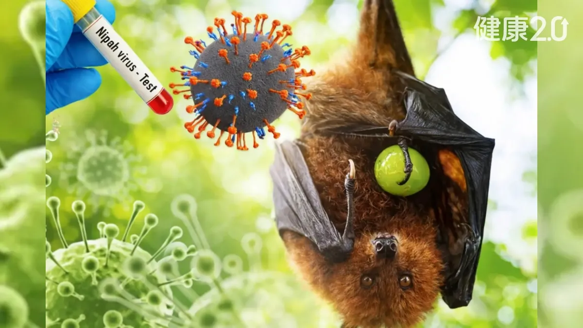 Search result thumbnail