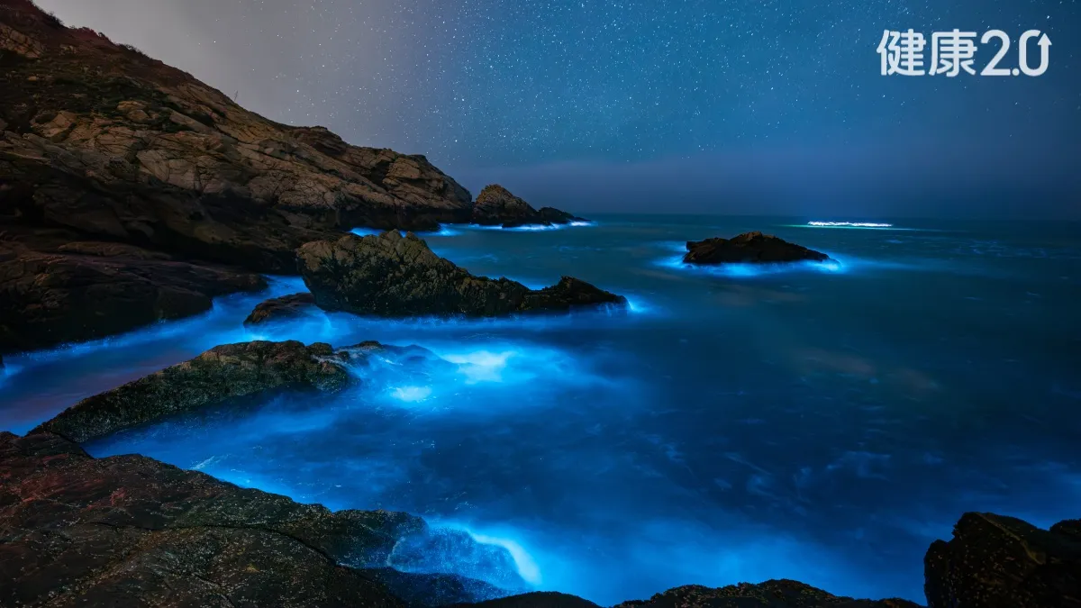 Search result thumbnail