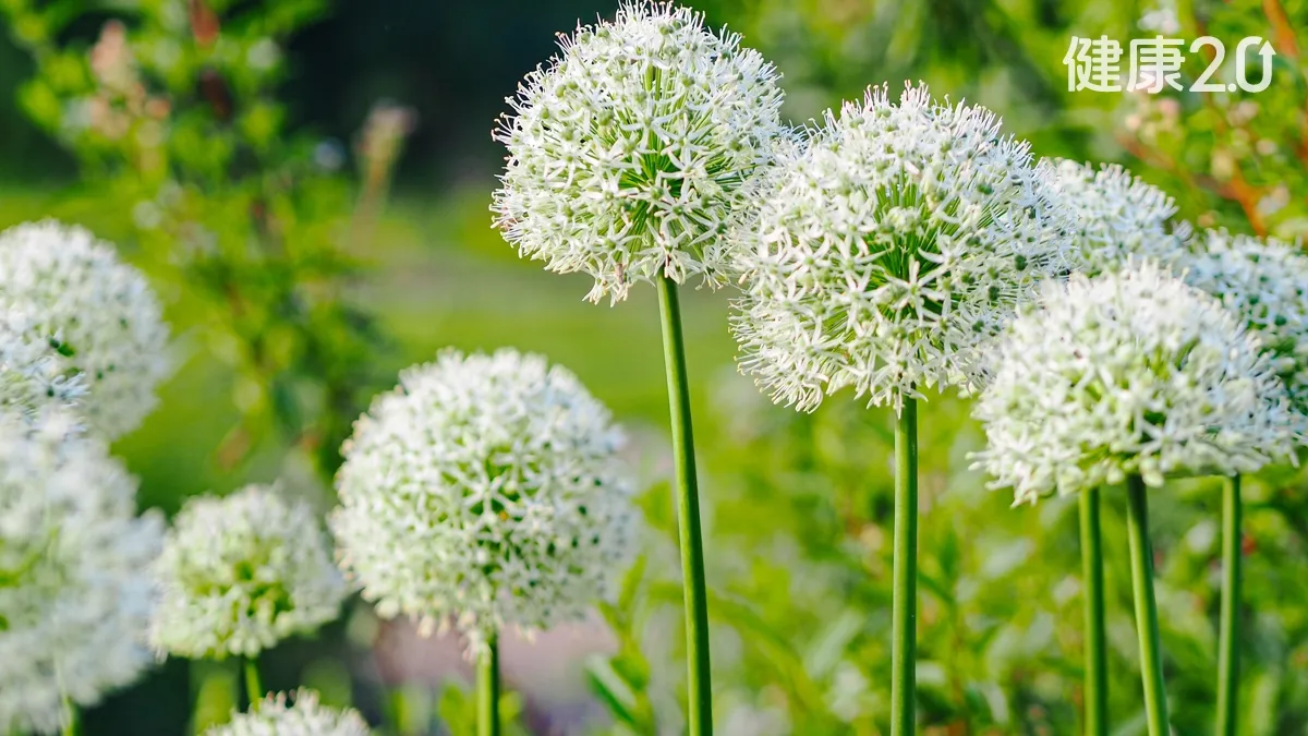 Search result thumbnail