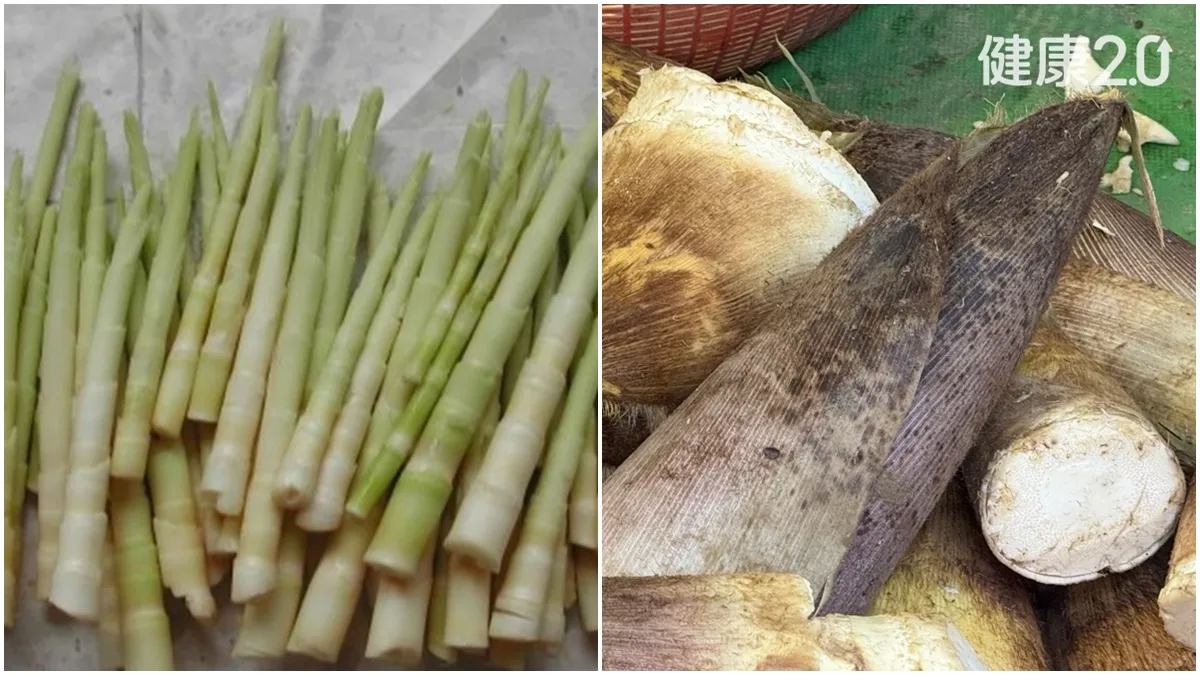 Search result thumbnail