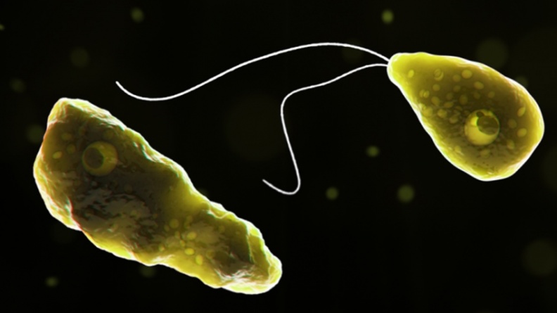 美國驚見百餘人感染食腦蟲 台灣也有案例，專家警告別游湖水！