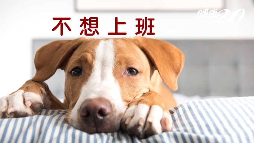 嗚…要上班了！「收假祕笈」快打開！上班也有好心情