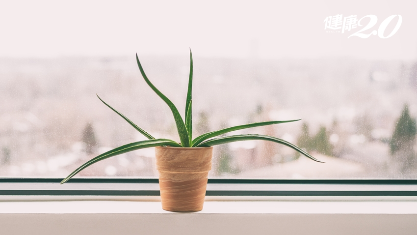 Search result thumbnail