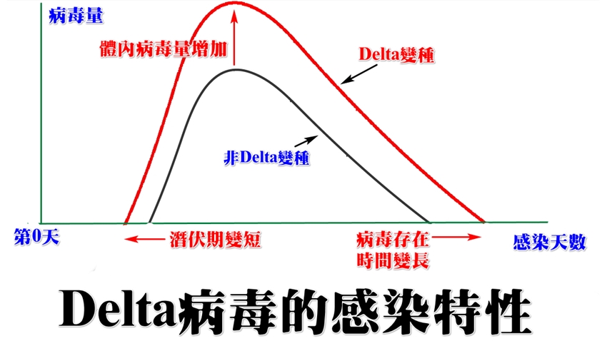 Delta進來了！一圖秒懂病毒「3大特性」，醫曝重症率2.5倍，在人體複製更多且快
